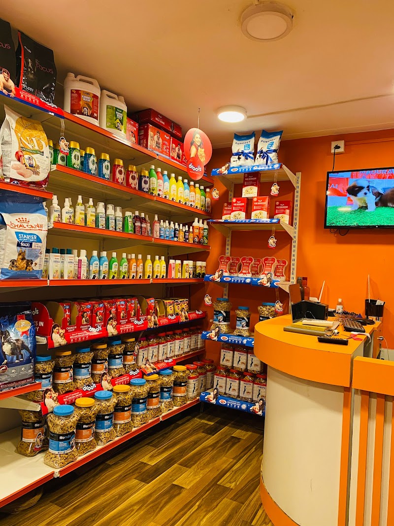 ORANGE PaWsiTive PuPs & KenneL — Photo 4