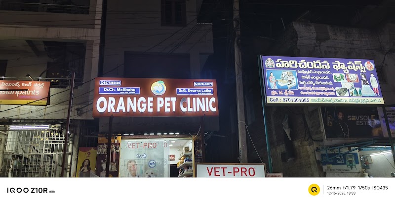 Orange Pet Clinic