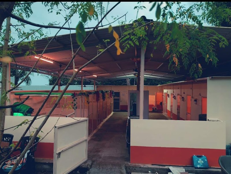 Oscar Pet's World® (Puppies for Sale, Dog Lodging and Boarding in Thane)