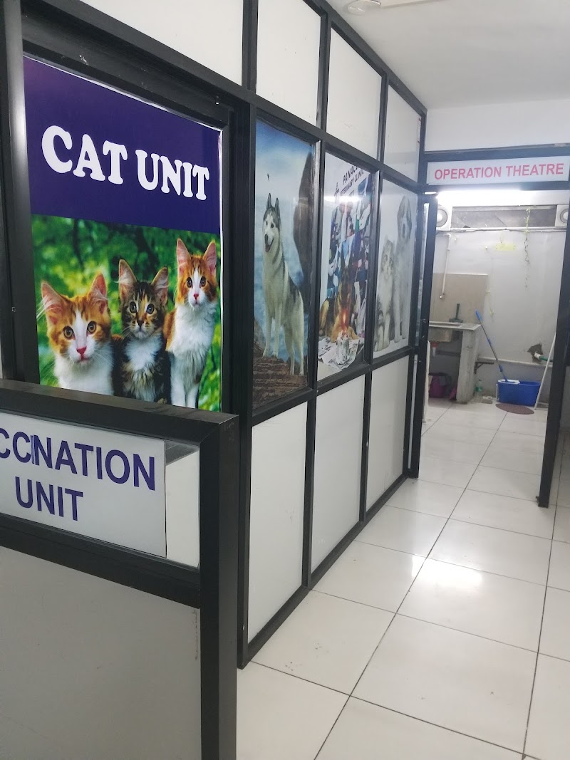 Panacea veterinary clinic — Photo 4