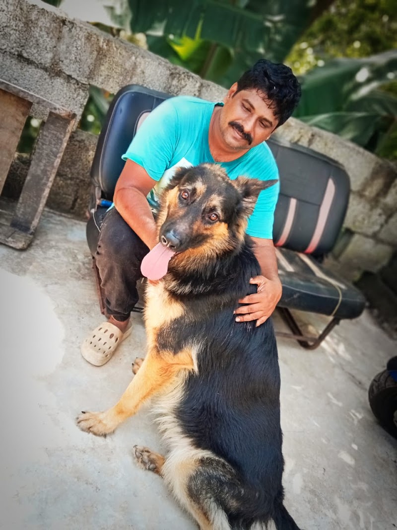 Parental — Photo 2