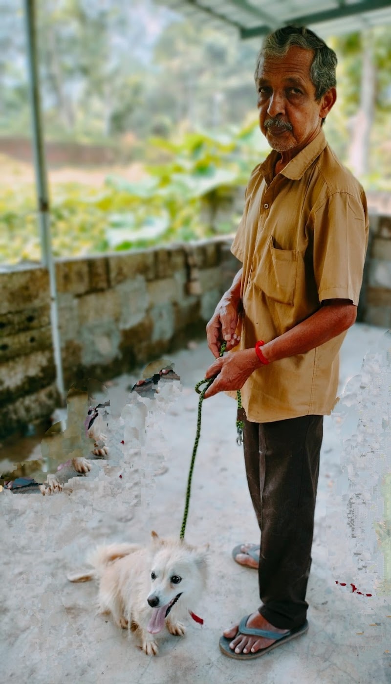 Parental — Photo 3