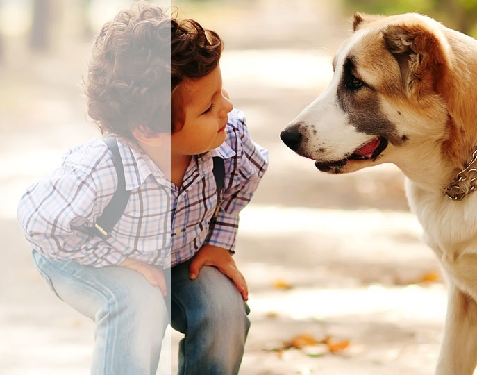 Parental — Photo 4