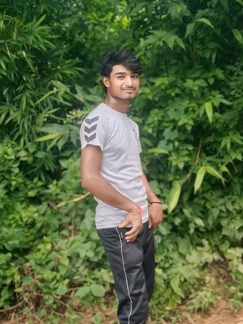 Patna German Shepherd & Labrador