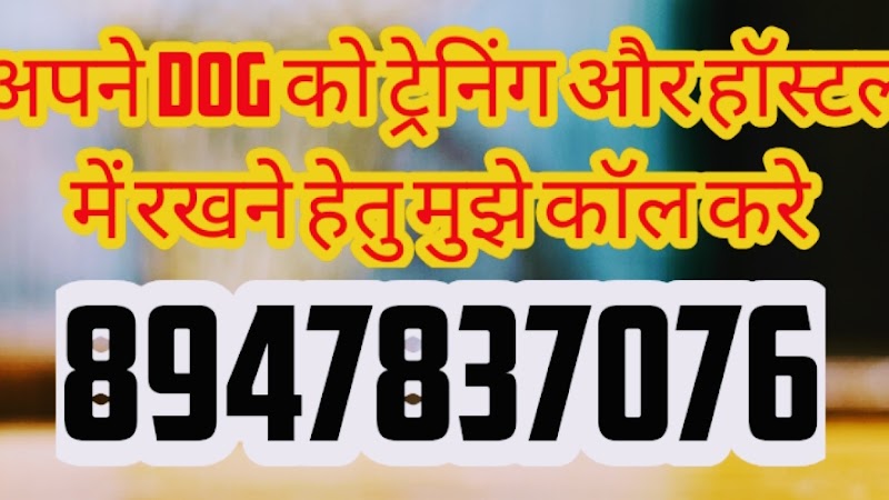 PAUL DOG BUYING,TRAINING & HOSTEL IN JODHPUR