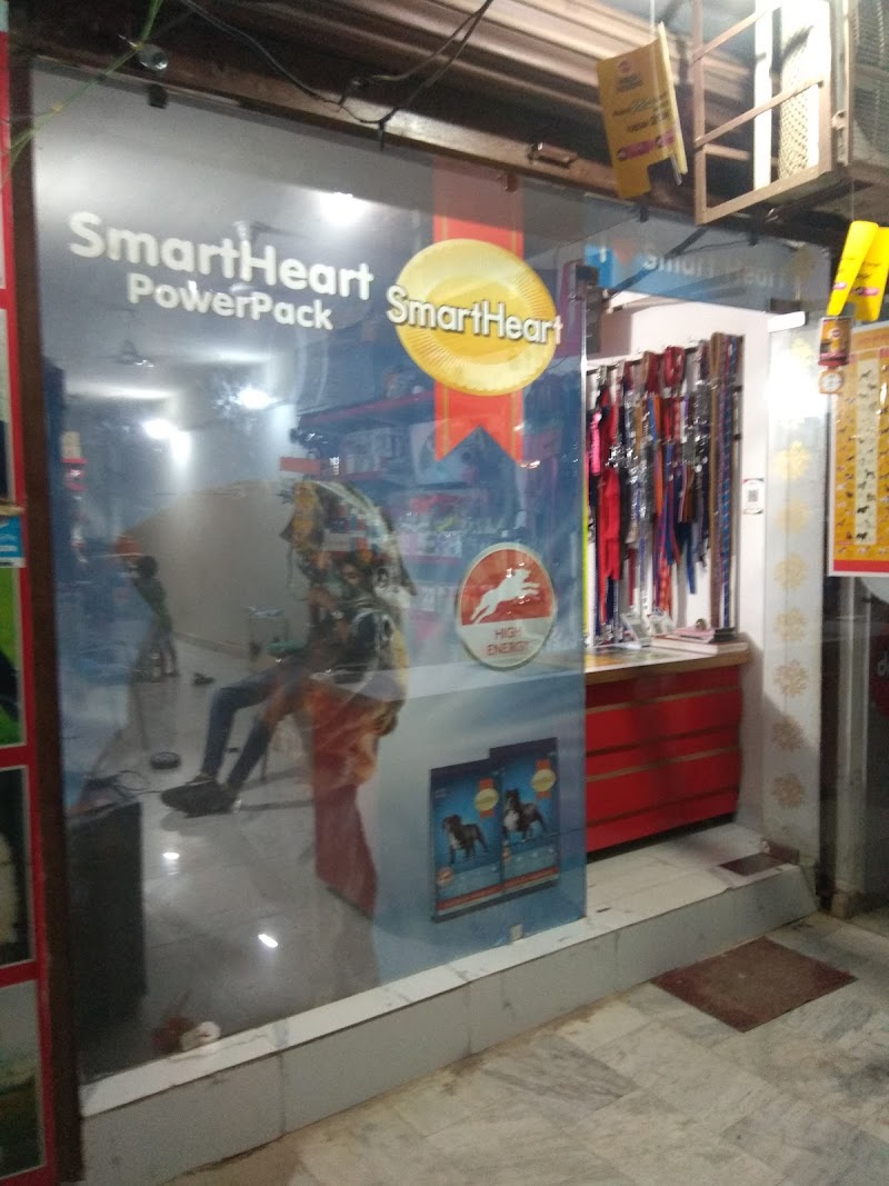 Paw Fect World — Photo 1