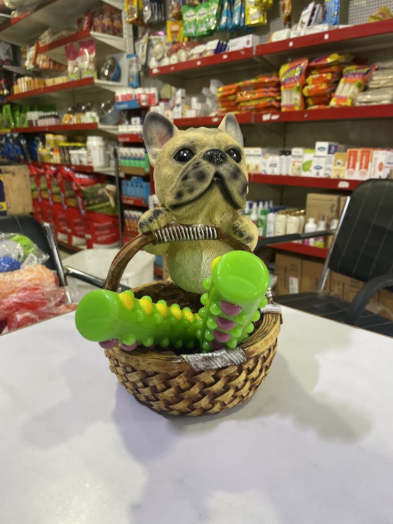 Paw Fect World — Photo 2