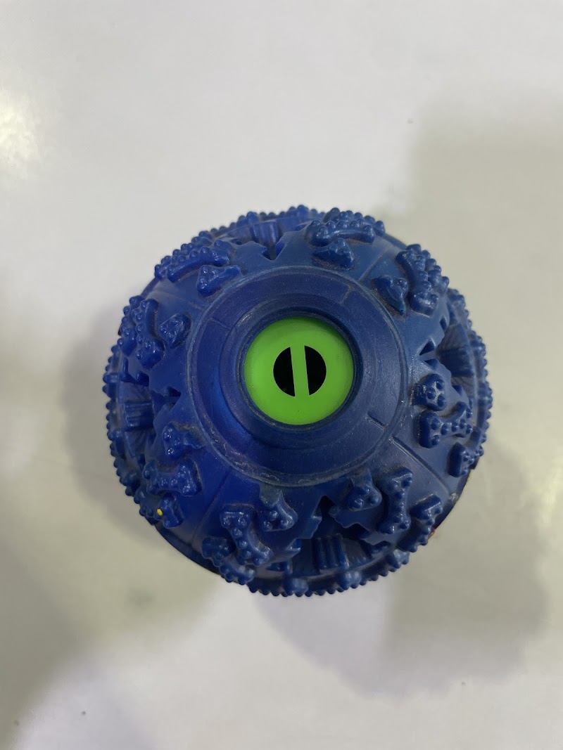 Paw Fect World — Photo 4