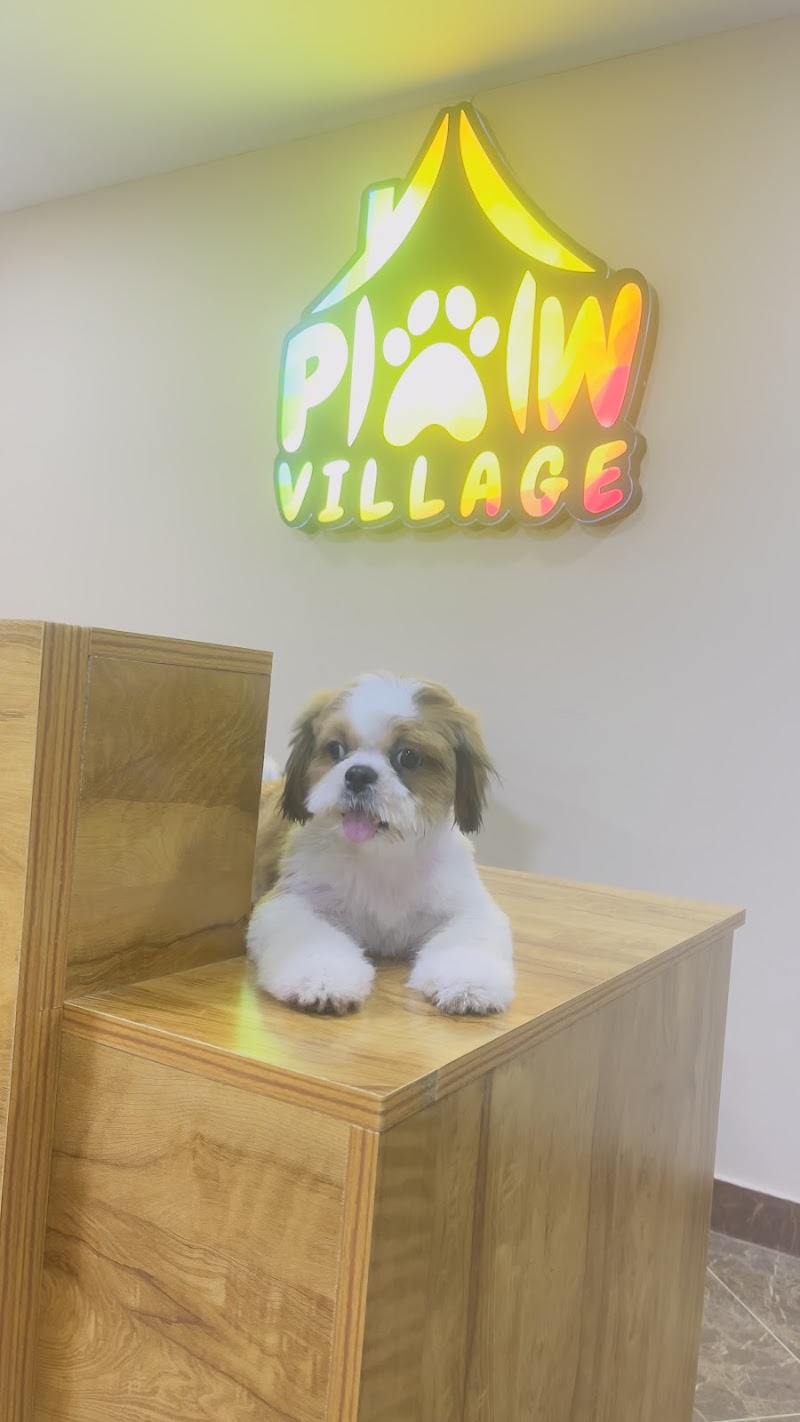 Paw Village Pet Boarding & Spa — Photo 4
