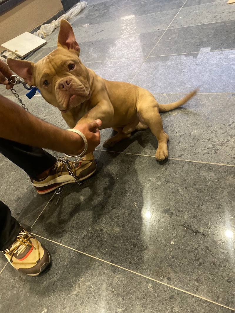 Pawlicious — Photo 2