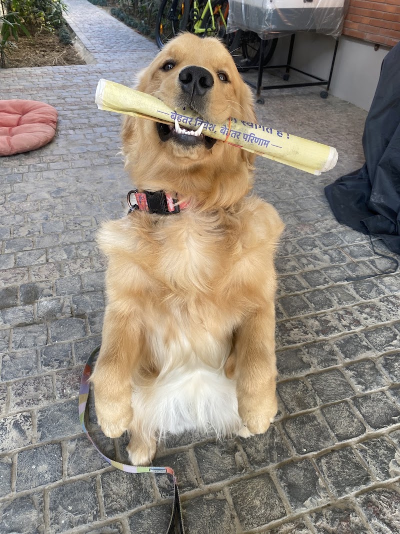 Pawlicious — Photo 3