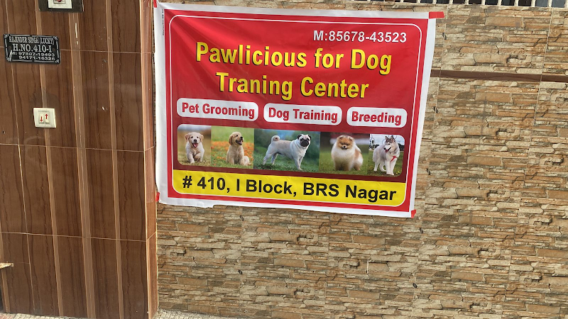 Pawlicious — Photo 4