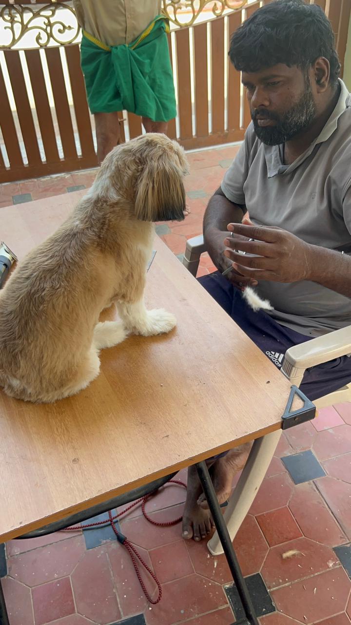 Pawnest -Pet Boarding &Home Grooming Spa — Photo 3