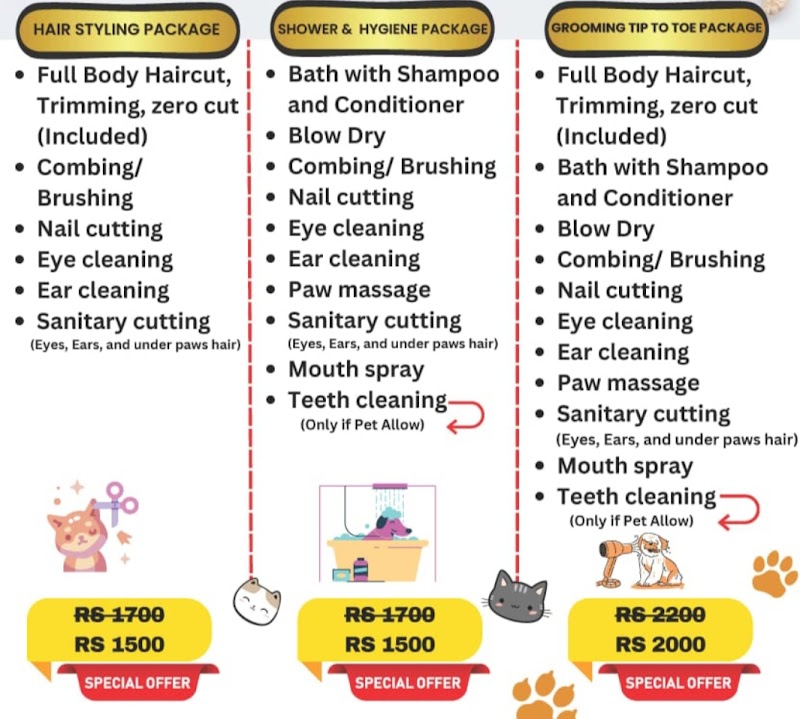 Pawnest -Pet Boarding &Home Grooming Spa — Photo 4