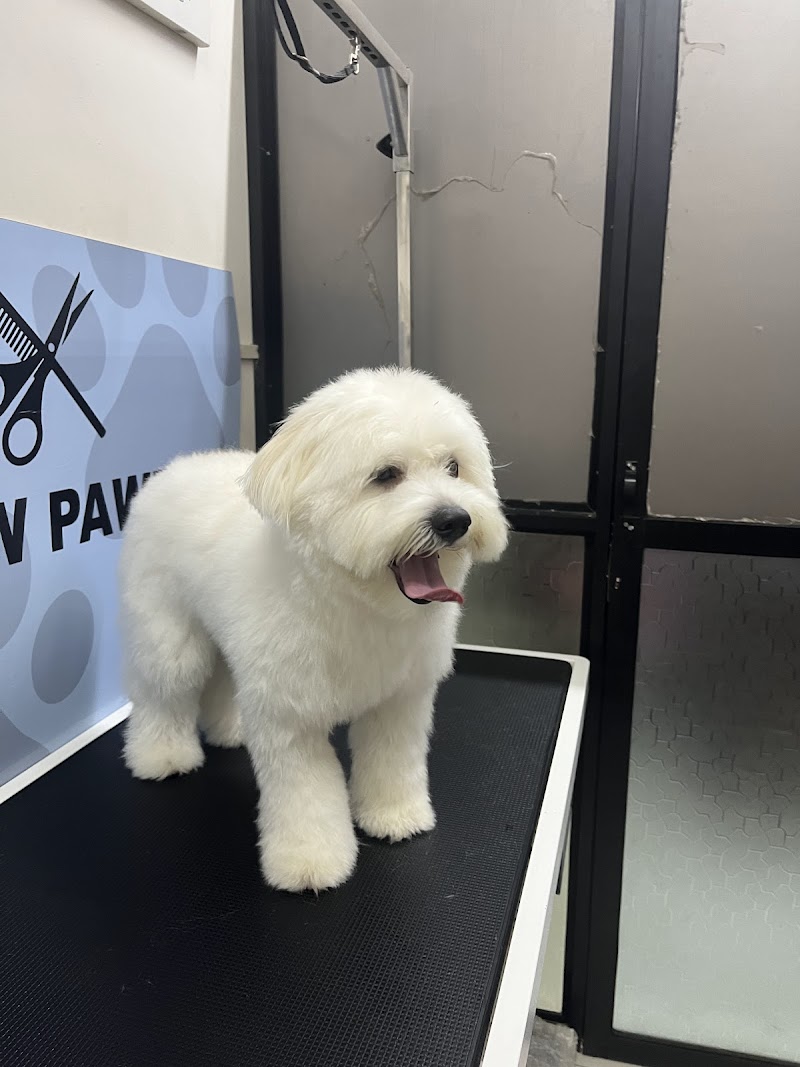 Pawpawerr pet Grooming Salon