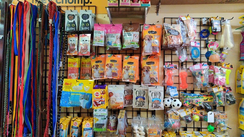 Paws 4 pets — Photo 3