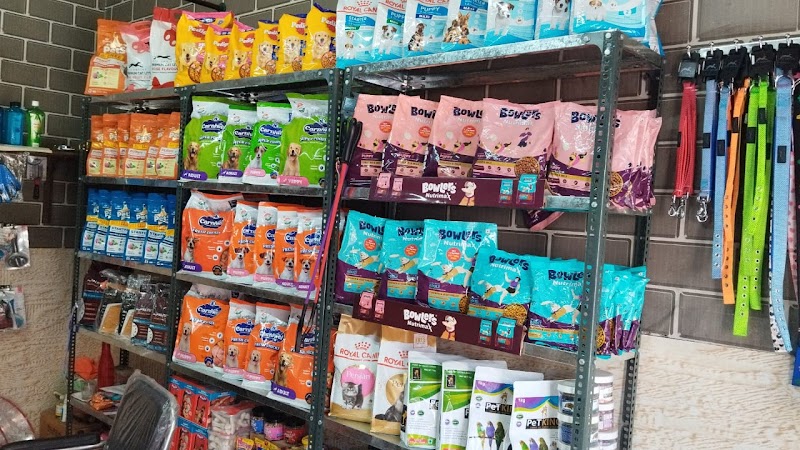 Paws And Claws - by Gargi