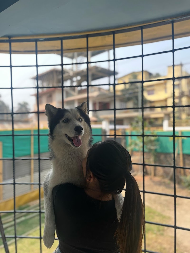 "Paws & "Meows" Kennels — Photo 1