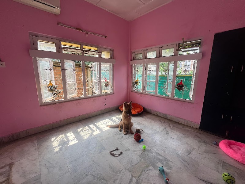 "Paws & "Meows" Kennels — Photo 3