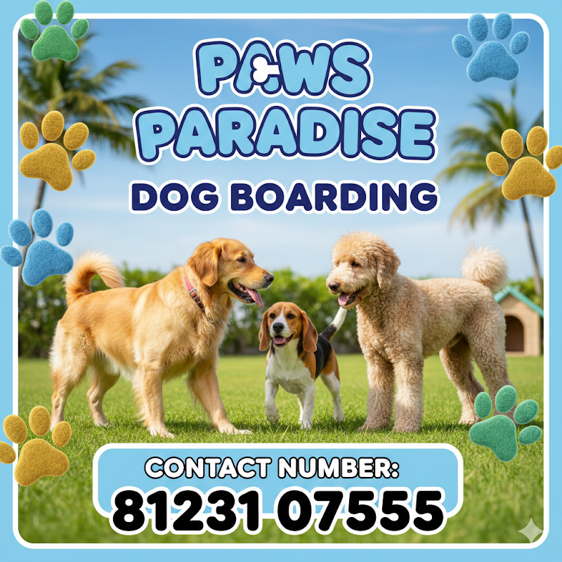 paws paradise (Dog Boarding, training, breeding & grooming)