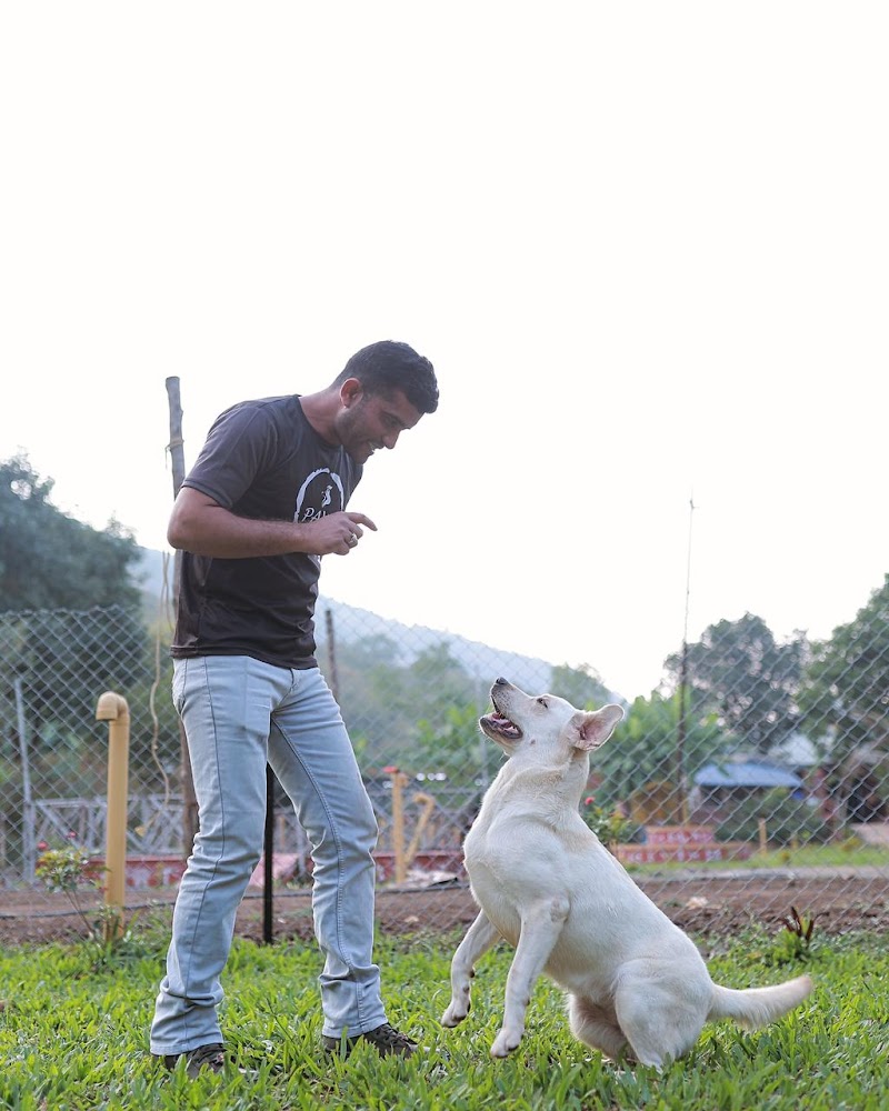 PAWS Pet Care — Photo 3