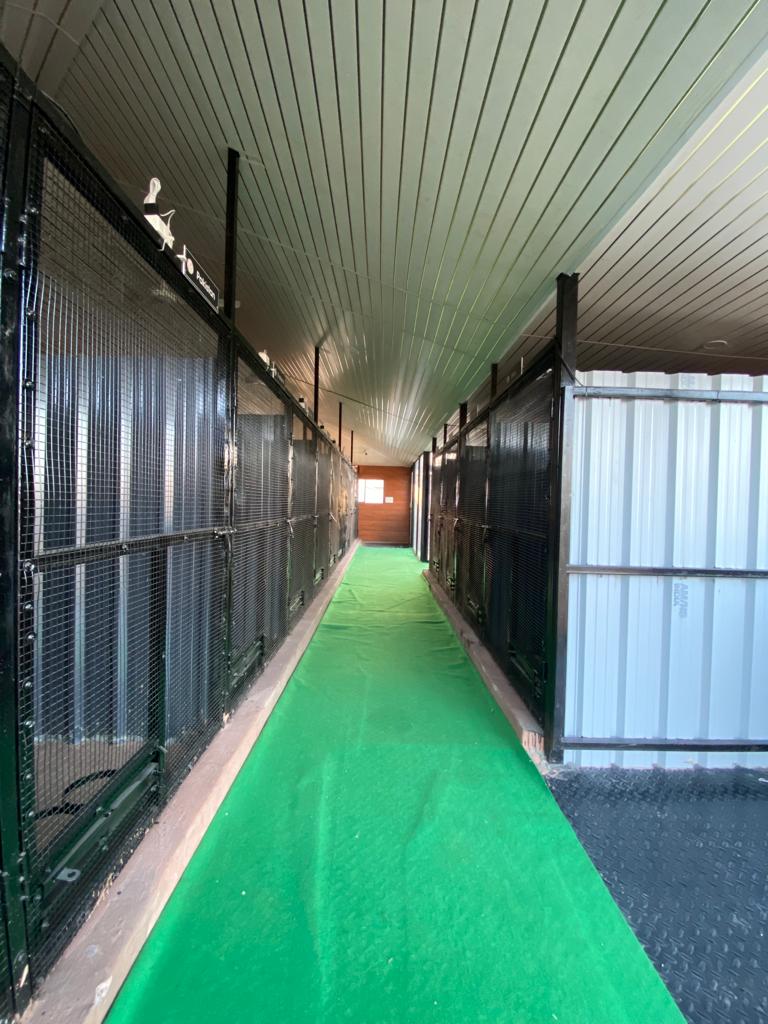 PAWS Pet Care — Photo 4