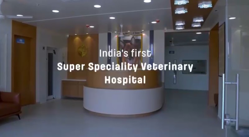 Paws Universe Super Speciality Veterinary Hospital Pvt. Ltd