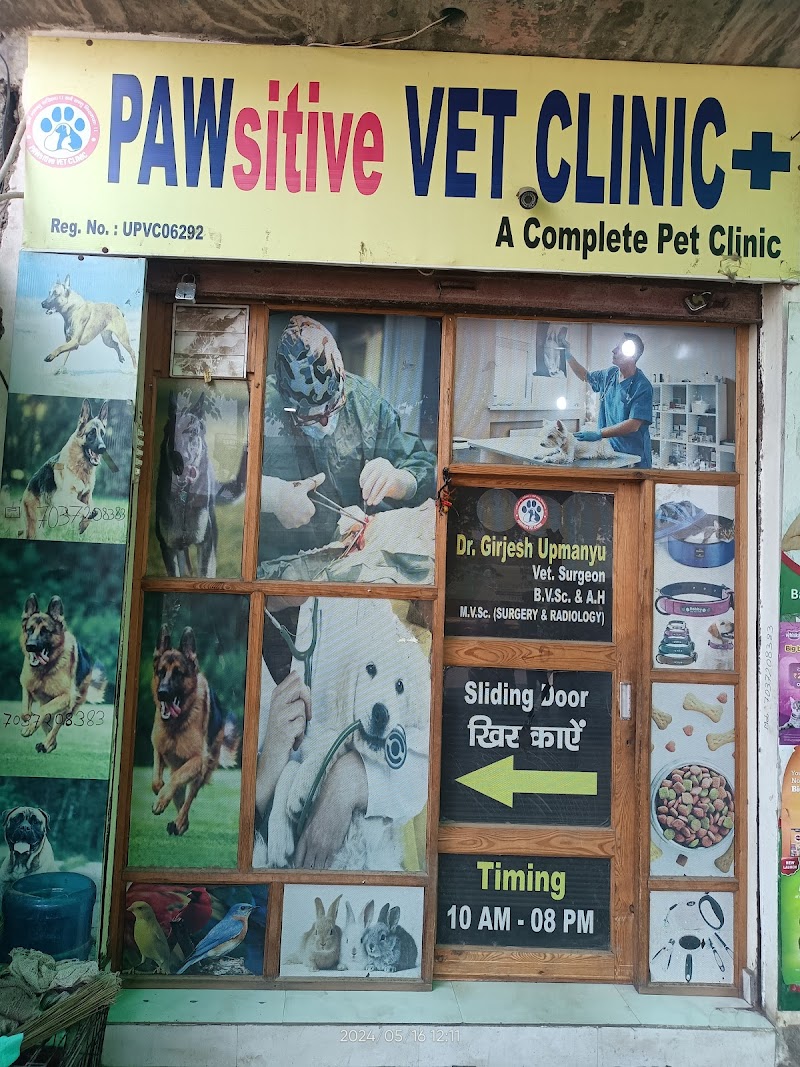 Pawsitive Vet Clinic