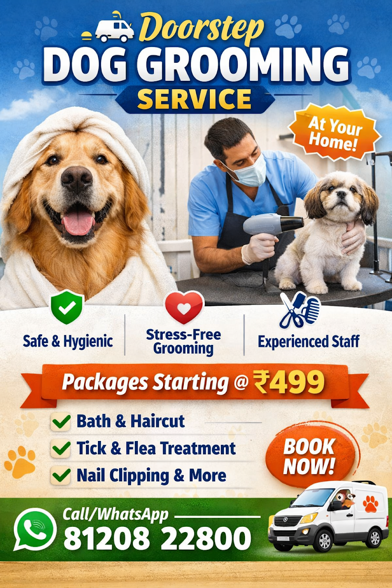 Pawslive dog service