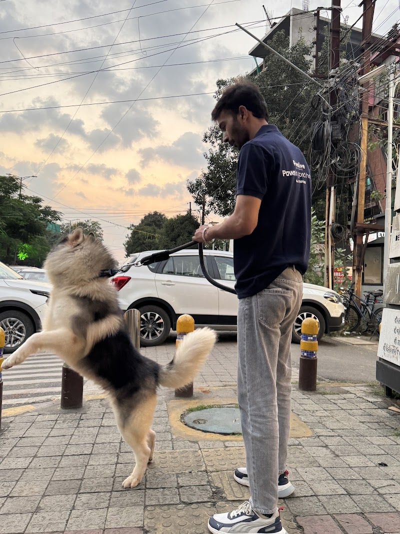 Pawslive Dog services — Photo 3