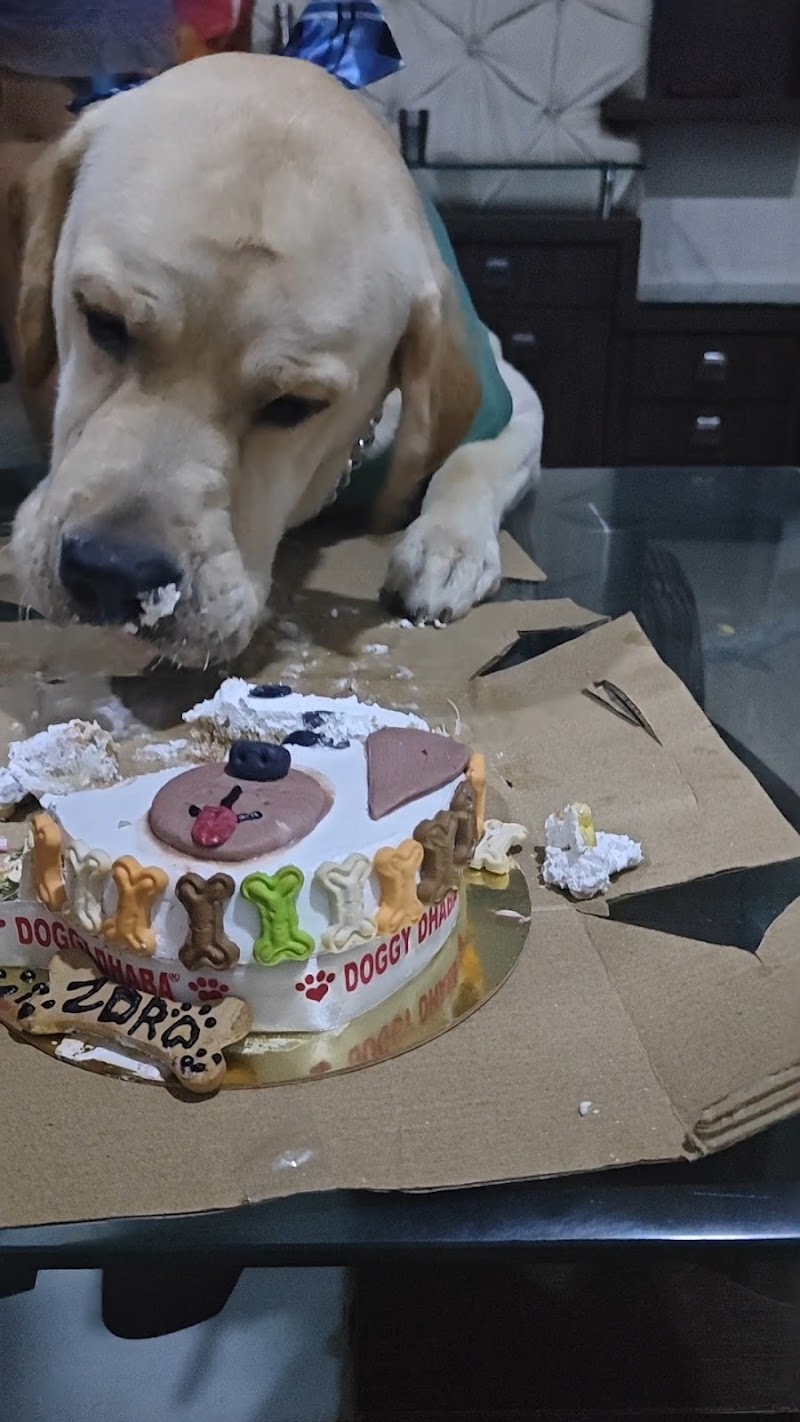 PAWSOME DOGGY DHABA — Photo 2