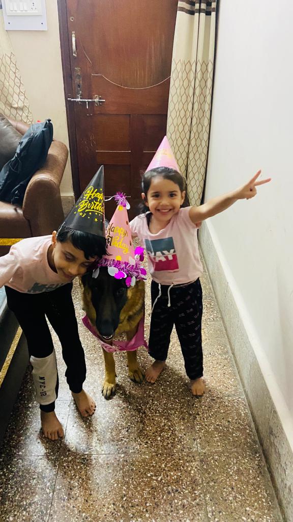 PAWSOME DOGGY DHABA — Photo 3