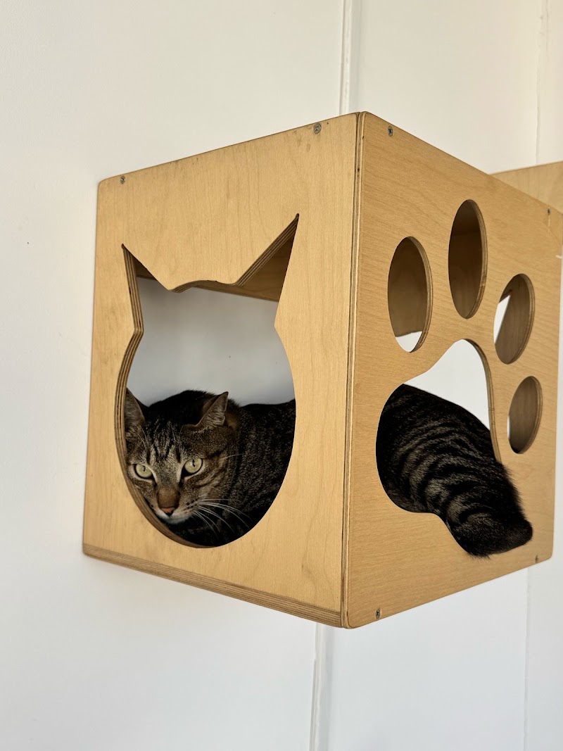 Pawsome Villa — Photo 2