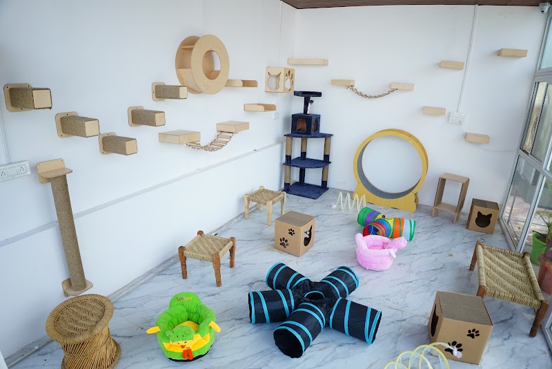 Pawsome Villa — Photo 4