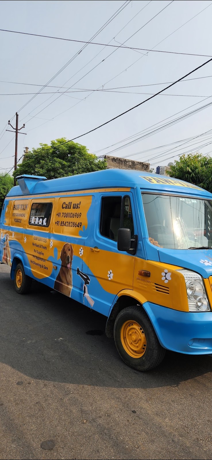 Pawstars — Photo 2