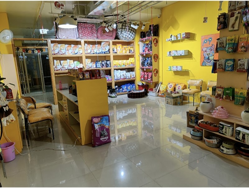 Pawstars — Photo 3