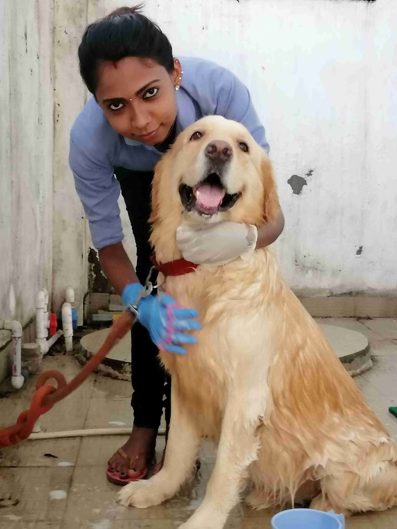 PAYIs Pet Clinic and Veterinary Medicines — Photo 2