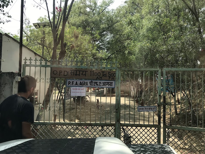 People for Animals Agra hospital — Photo 4