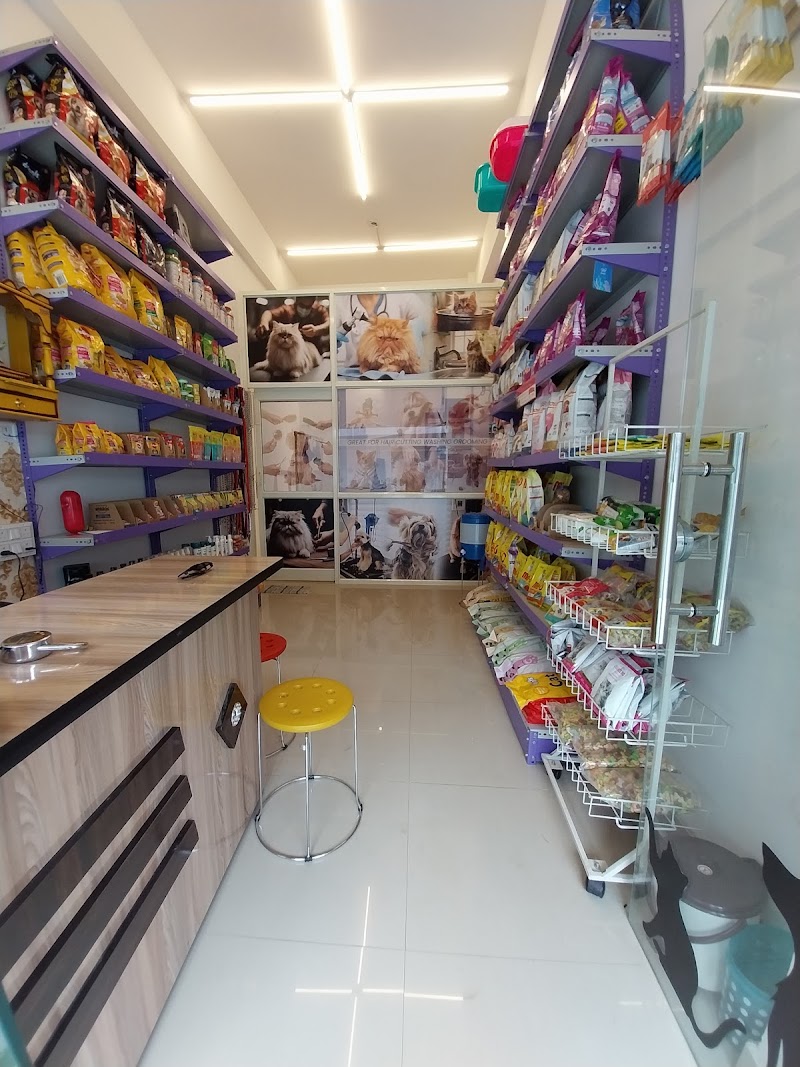 Perfect Paws — Photo 2