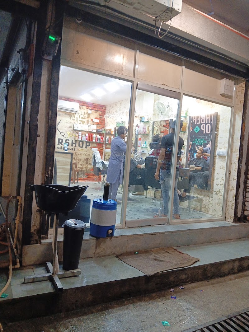 Persian Paradise Cattery