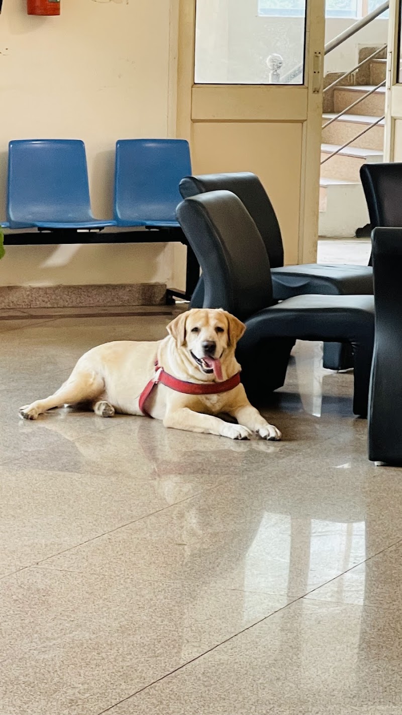 Pet Animal Medical Centre — Photo 3