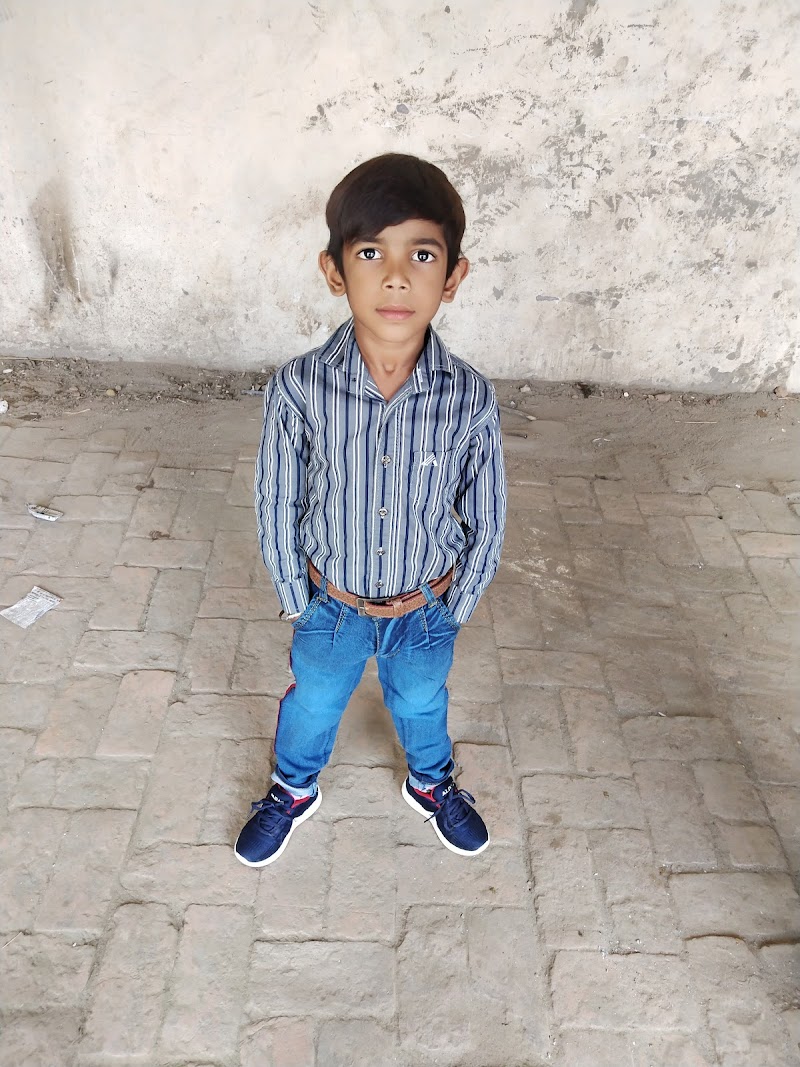 Pet Care — Photo 2