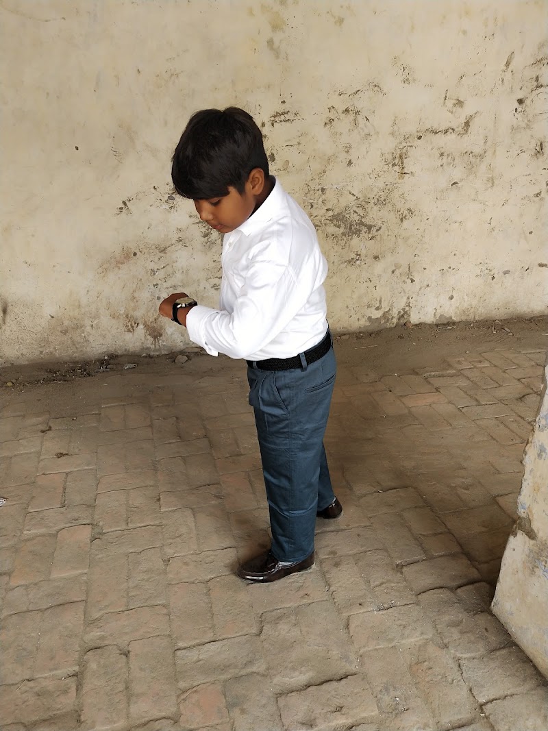 Pet Care — Photo 3