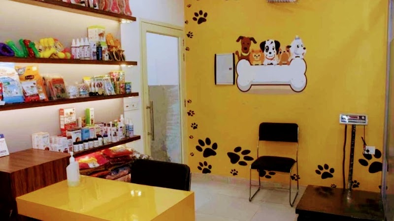 Pet Care and Cure | Pet Clinics Ludhiana