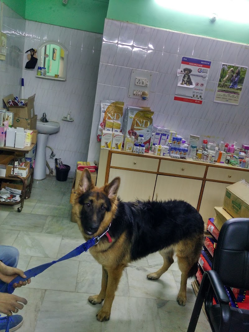 Pet Care Clinic — Photo 4