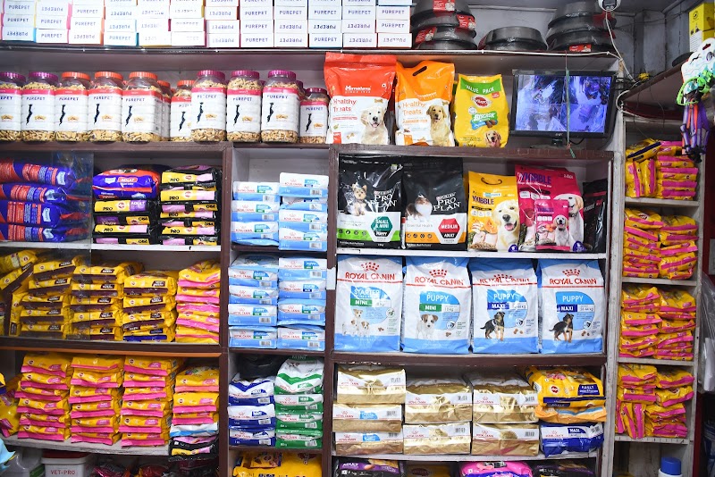 Pet Care — Photo 3