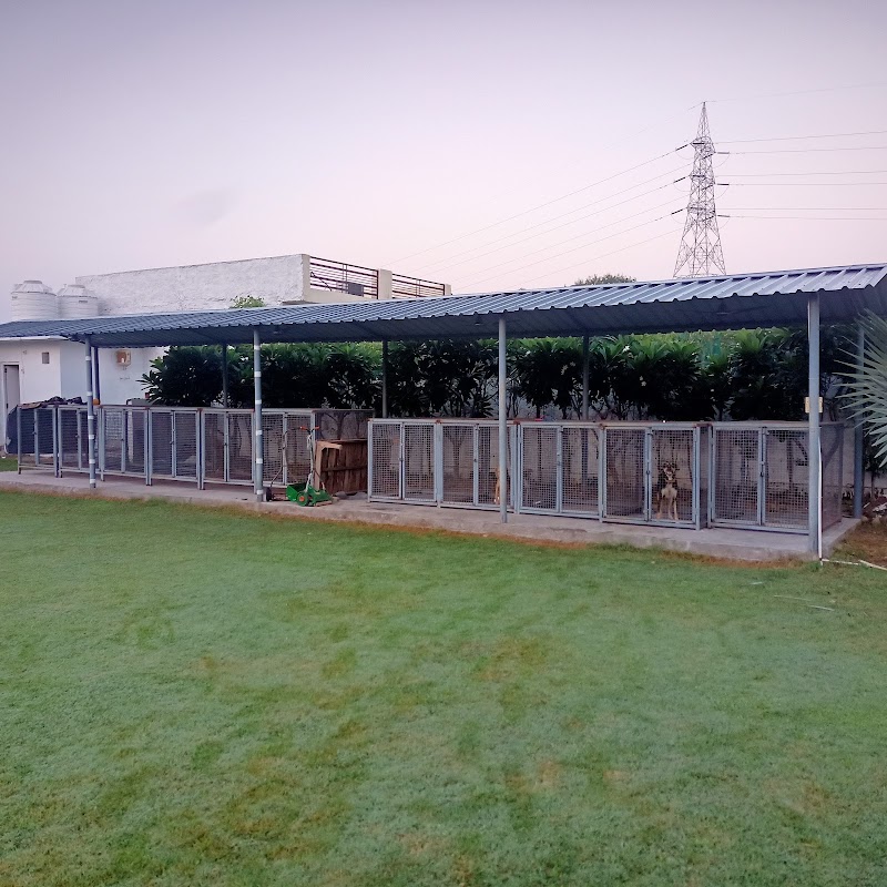 Pet Castle (pet hostel, chandigarh) — Photo 3