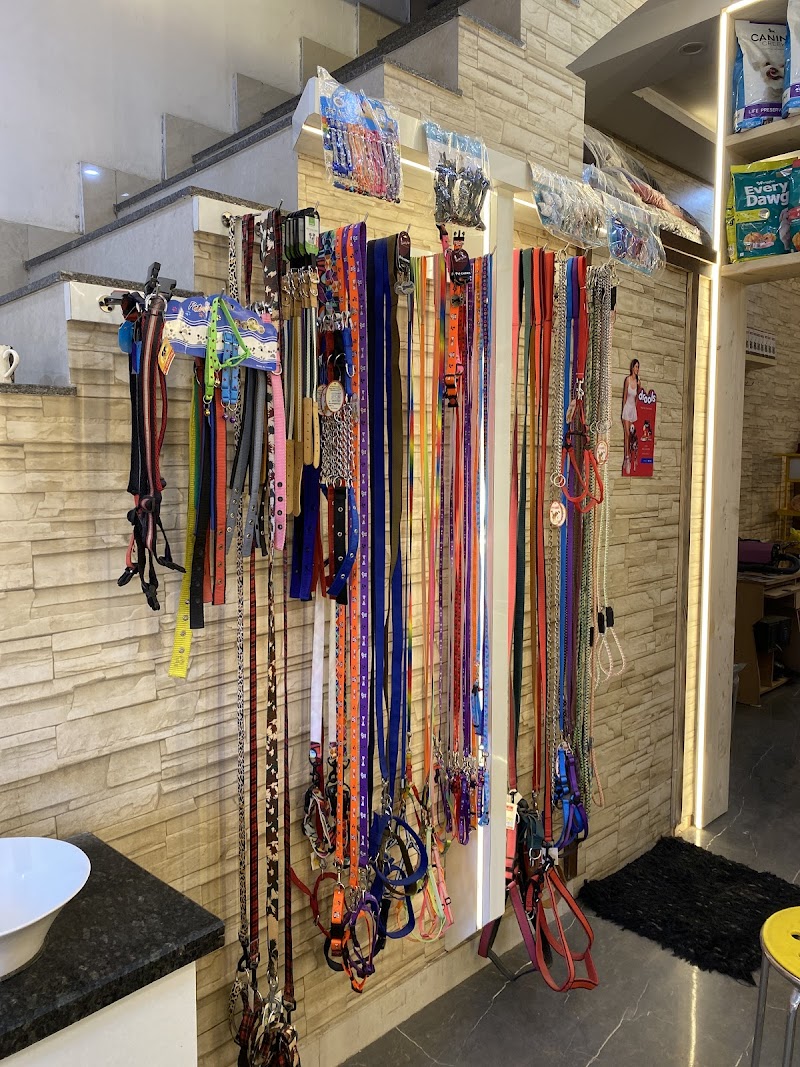 Pet City — Photo 2