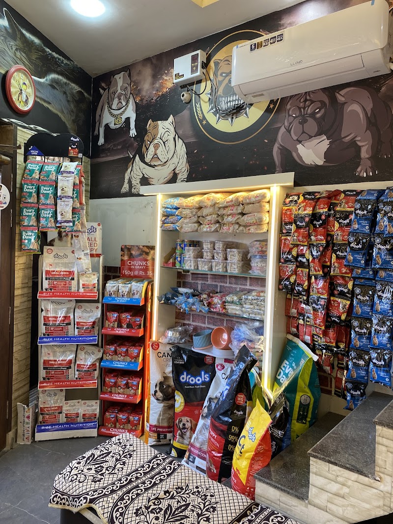 Pet City — Photo 3