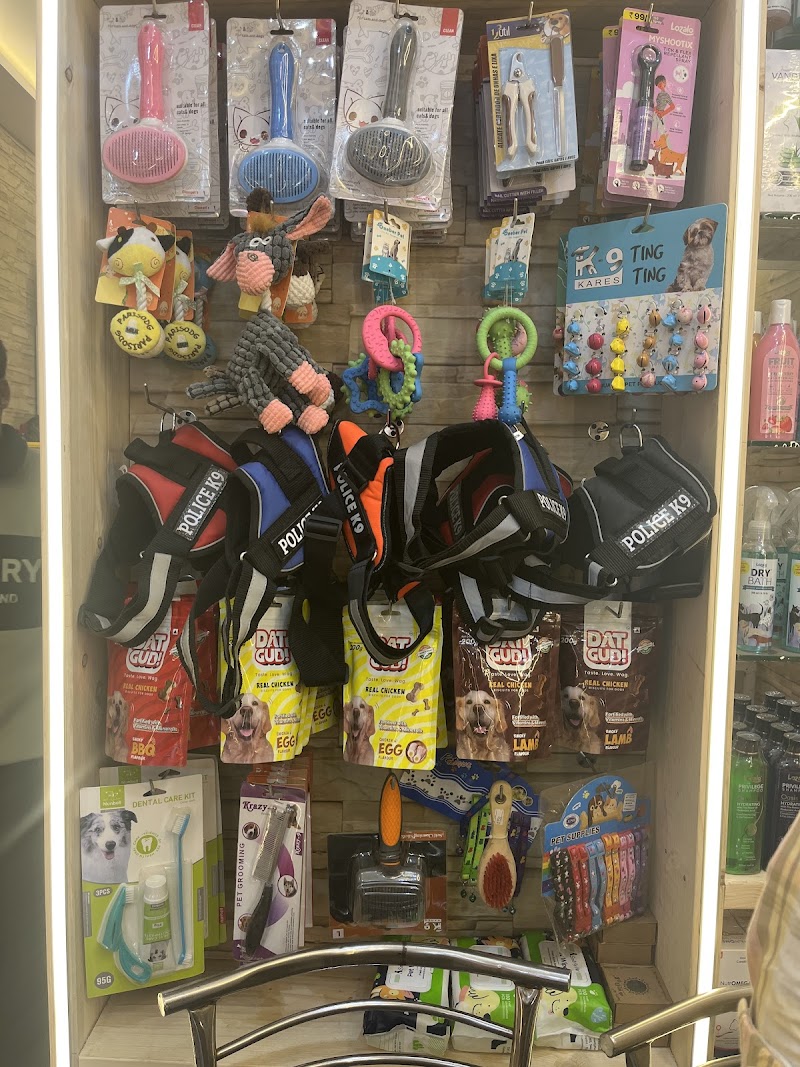 Pet City — Photo 4